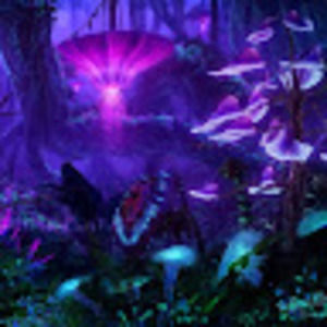 Meet your Posher, Monique